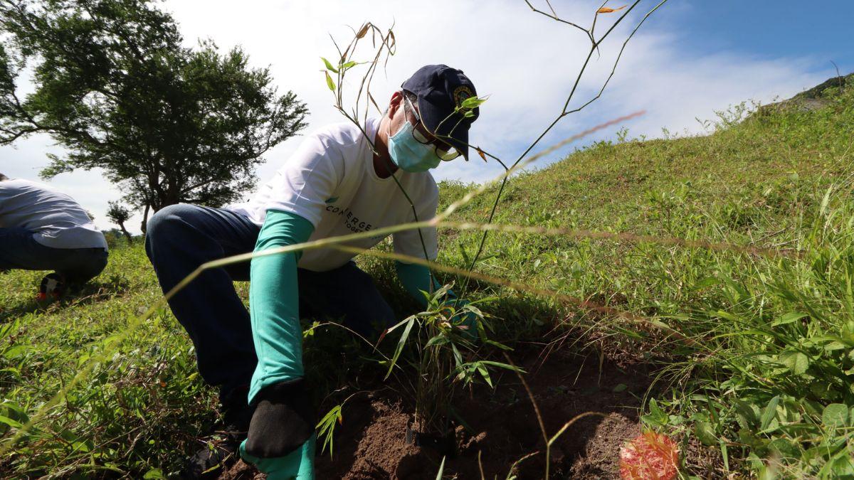 Converge appoints Chief Sustainability Officer in drive to deliver on sustainability commitment